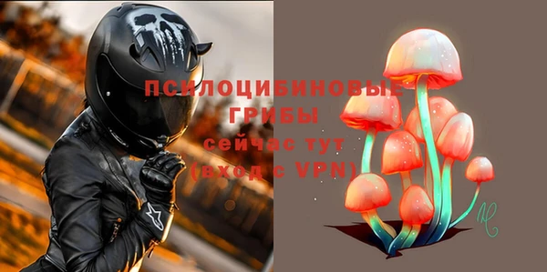 сатива Пестово