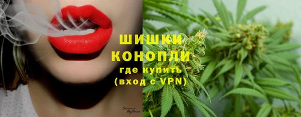 сатива Пестово