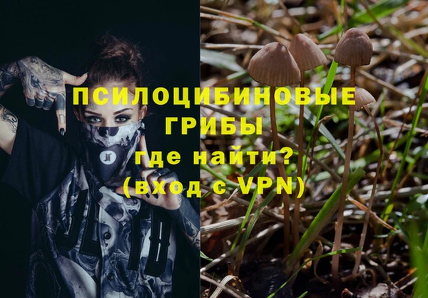 сатива Пестово