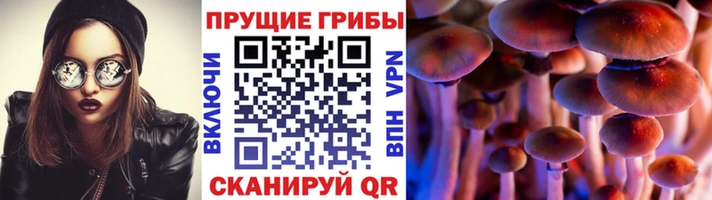 даркнет телеграм Белебей Псилоцибиновые грибы мицелий продажа наркотиков
